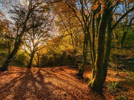 Best photos 2025 - 12