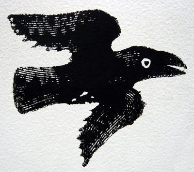 crow